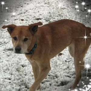 Meet your Posher, Donna